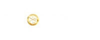 Vivo Gaming